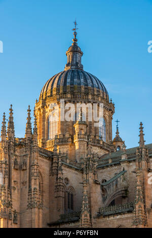 Cathédrale, Salamanque, Castille et Leon, Espagne Banque D'Images