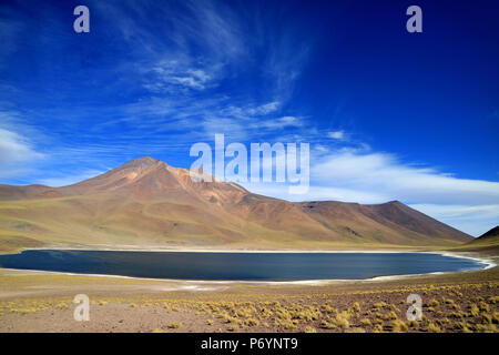 Laguna Miniques ou Miniques lac avec Cerro Miscanti volcan dans les Highlands du nord du Chili Banque D'Images