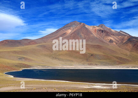 Laguna Miniques, l'un des merveilleux lagon bleu situé dans l'Altiplano du nord du Chili, région d'Antofagasta Banque D'Images