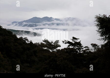 Matériel roulant dans les nuages autour de la montagne dans la soirée Dasyueshan National Forest, avril Taiwan Banque D'Images