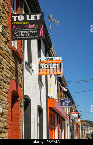 'Pour' signes sur des maisons mitoyennes à Treforest, Pontypridd, Pays de Galles, la publicité chambres à louer pour étudiants Banque D'Images