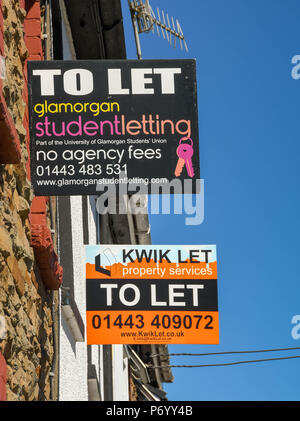 'Pour' signes sur des maisons mitoyennes à Treforest, Pontypridd, Pays de Galles, la publicité chambres à louer pour étudiants Banque D'Images