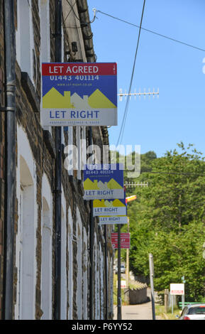 'Pour' signes sur des maisons mitoyennes à Treforest, Pontypridd, Pays de Galles, la publicité chambres à louer pour étudiants Banque D'Images