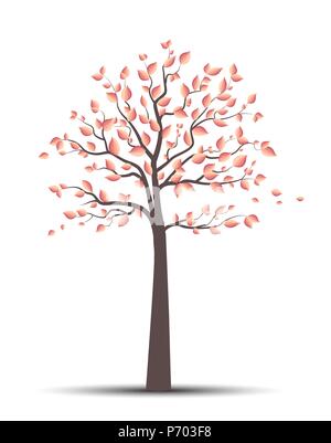 Vector illustration de l'arbre d'automne avec les feuilles qui tombent sur un fond blanc Illustration de Vecteur