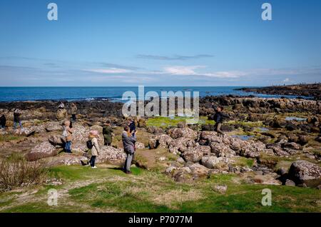 21/06/2018. L'Irlande du Nord, Royaume-Uni. La Chaussée des Géants en Irlande du Nord.Photo par Andrew Parsons Parsons/ Media Ltd Banque D'Images