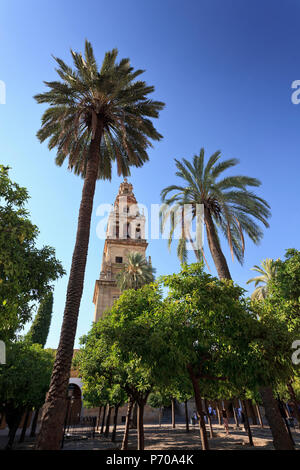 Espagne, Andalousie, Cordoue, la Mezquita Catedral (Mosquée - Cathédrale) (UNESCO Site) Banque D'Images