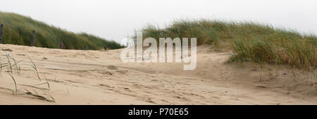 Vue panoramique sur les dunes de het westcoast des Pays-Bas, avec l'espace, l'ammophile et sable Banque D'Images