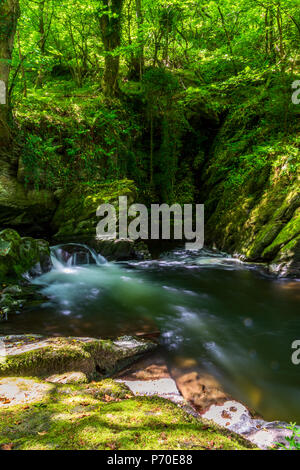 East Lyn River, North Devon, près de Lynmouth, au début de l'été. Banque D'Images