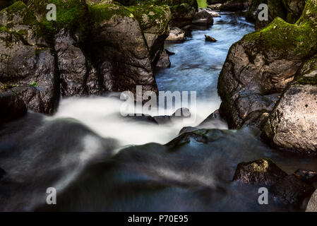 East Lyn River, North Devon, près de Lynmouth, au début de l'été. Banque D'Images