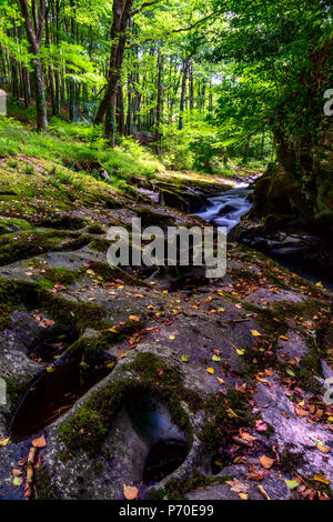 East Lyn River, North Devon, près de Lynmouth, au début de l'été. Banque D'Images