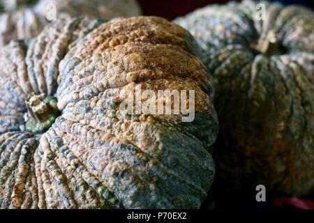 Warty pumpkins au marché central de Phnom Penh, Cambodge Banque D'Images