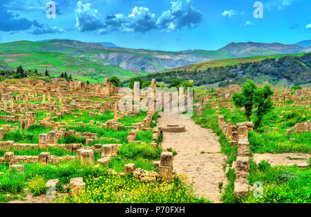 Berbero-Roman ruines de Djemila en Algérie Banque D'Images