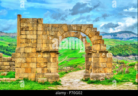 Berbero-Roman ruines de Djemila en Algérie Banque D'Images