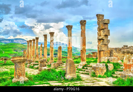 Berbero-Roman ruines de Djemila en Algérie Banque D'Images