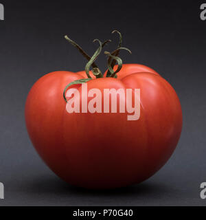Tomates biologiques sur fond noir Banque D'Images