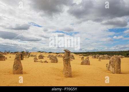 Les dunes de sable jaune et de piliers de calcaire dans le Désert des Pinnacles le Parc National de Nambung, dans l'ouest de l'Australie. Banque D'Images