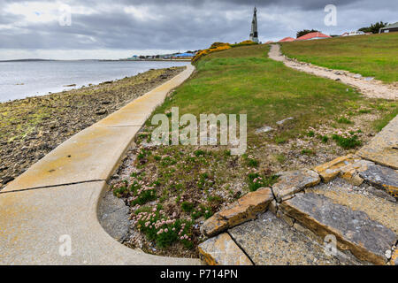 L'épargne (Armeria maritima), 1914 bataille des Falklands, Stanley Memorial waterfront, Port Stanley, îles Malouines, l'Amérique du Sud Banque D'Images