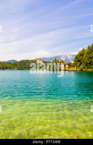 Le lac de Bled et le château de Bled, Slovénie, Europe Banque D'Images