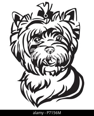 Portrait de décoration de chien Yorkshire Terrier, vector illustration isolé en couleur noir sur fond blanc. Droit pour la conception et de tatouage. Illustration de Vecteur