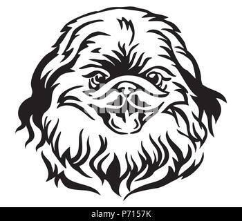 Portrait de chien mignon petit canard décoratif, vector illustration isolé en couleur noir sur fond blanc. Droit pour la conception et de tatouage. Illustration de Vecteur