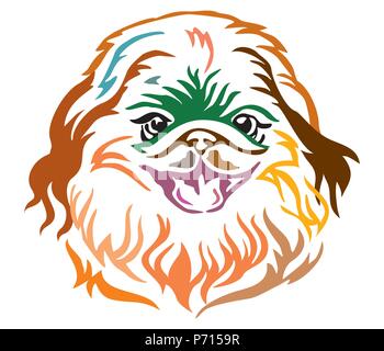 Portrait de chien décoratives colorées mignon petit canard, vector illustration en différentes couleurs isolé sur fond blanc. Droit pour la conception et de tatouage. Illustration de Vecteur