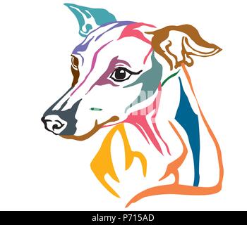 Portrait de profil décoratives colorées de chien lévrier italien, vector illustration en différentes couleurs isolé sur fond blanc. Image pour le desi Illustration de Vecteur