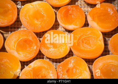 Close Up d'Abricots séchant sur rack Banque D'Images