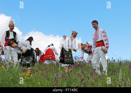 Les gens en costume traditionnel le folklore authentique herbes ramassage le jour du solstice d'été d'une prairie de Vratsa Balkan Banque D'Images