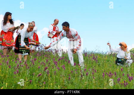 Les gens en costume traditionnel le folklore authentique herbes ramassage le jour du solstice d'été d'une prairie de Vratsa Balkan Banque D'Images