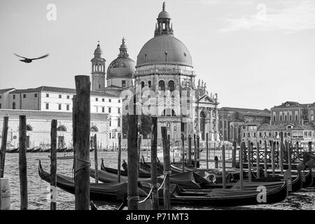 Les gondoles amarrées et l'église Santa Maria della Salute à Venise, Italie. Le noir et blanc Banque D'Images