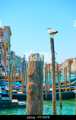 Pour les gondoles à quai en bois avec poteaux d'amarrage à Venise, Italie Banque D'Images