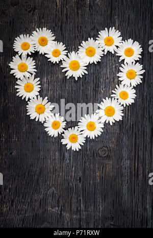 Forme de coeur de oxeye marguerites sur fond en bois vieilli foncé with copy space Banque D'Images