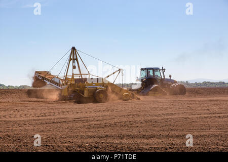 Tracteur agricole avec l'ensileuse du stockage de tourbe fraisée lâche (récolte) suivi par Miller à la tourbière prospère dans le comté de Kildare, Irlande. Banque D'Images