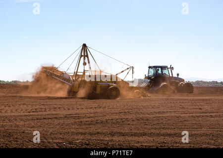 Tracteur agricole avec l'ensileuse du stockage de tourbe fraisée lâche (récolte) suivi par Miller à la tourbière prospère dans le comté de Kildare, Irlande. Banque D'Images