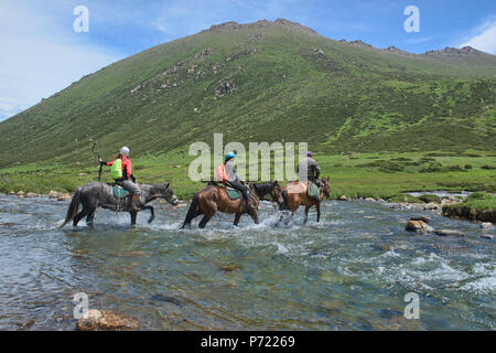 Les chevaux qui traversent la rivière Tup, Jyrgalan Valley, Kirghizistan Banque D'Images