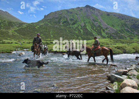 Les chevaux qui traversent la rivière Tup, Jyrgalan Valley, Kirghizistan Banque D'Images