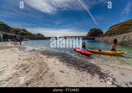 Avis de meneau cove à Cornwall uk Banque D'Images