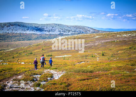 Famille de quatre personnes à pied à travers de vastes paysages de montagne vide de Trysil, Norvège. Les couleurs de l'automne Orange, beau temps. Banque D'Images