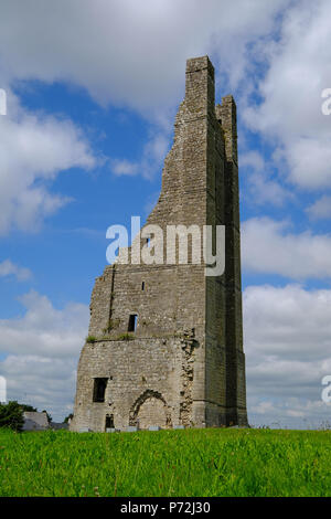 Clocher jaune, la ruine de l'abbaye St Mary Bell Tower, garniture, comté de Meath, Leinster, République d'Irlande, Europe Banque D'Images