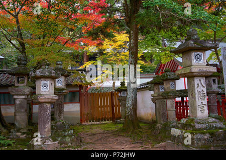 Couleurs d'automne à Tamukeyama Hachimangu, à Nara, Honshu, Japon, Asie Banque D'Images