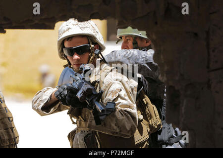 Les Marines américains avec la Compagnie de la Police militaire Alpha, 4e Bataillon de l'application de la Loi, et le 77e bataillon jordanien Marine, participer à un cours d'armes non létales et les tactiques pendant 17 Lion avide, le 11 mai 2017. Lion avide est un exercice annuel le Commandement central américain en Jordanie visant à renforcer les relations militaires entre les Etats-Unis, la Jordanie et d'autres partenaires internationaux. La nouvelle édition se compose d'environ 7 400 militaires provenant de plus de 20 nations qui permettra de répondre aux scénarios impliquant la sécurité des frontières, de commandement et de contrôle, de la cyberdéfense et homme de combat Banque D'Images