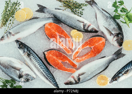 Vue de dessus d'assortiment de fruits de mer et des ingrédients organiques sur la glace Banque D'Images