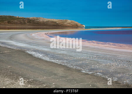 Salt Lake. La Crimée. La Russie Banque D'Images