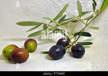 Olives en fond blanc