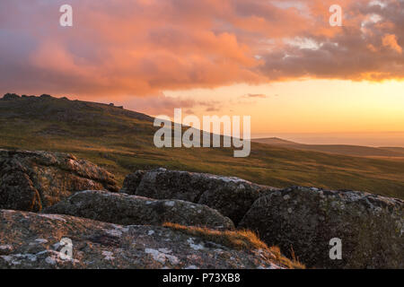 Belle lumière du soir sur Rowtor Dartmoor, montrant les contours et les paysages alentours à la fin de l'été. Banque D'Images