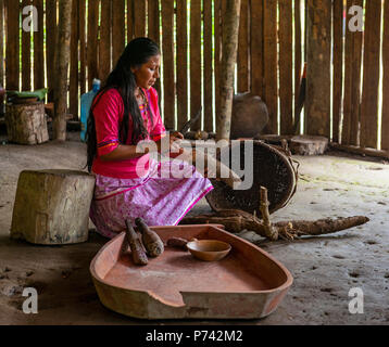 Les jeunes populations Kichwa femme préparant la chicha, faite de manioc ou le manioc, typique dans le bassin de la forêt amazonienne. Le Parc national Yasuni, en Equateur. Banque D'Images