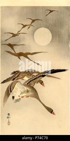 Ohara Koson travail par . avant 1945 27 - huit Koson-oies à front blanc-en-Vol-pleine-lune derrière Banque D'Images