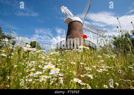 L'été au jardin des prés verts Moulin et Science Centre à Nottingham, Nottinghamshire England UK Banque D'Images