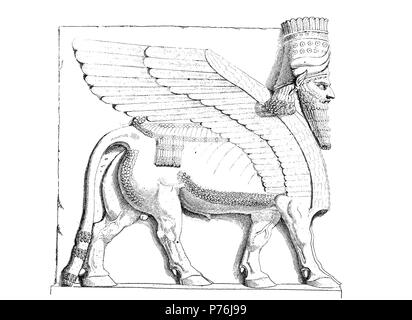 Un taureau ailé à tête humaine connue comme un lamassu de Dur-Sharrukin. Neo-Assyrian Période, ca. 721-705 av. J.-C., les secours sur le portail de Khorsabad, la capitale assyrienne dans l'époque de Sargon II d'Assyrie, Mésopotamie, l'Irak, l'amélioration numérique reproduction d'une estampe originale de l'année 1881 Banque D'Images