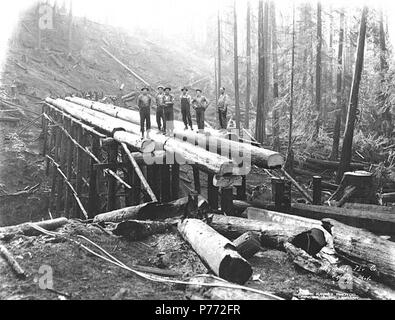 . Français : Construction crew avec log trestle en construction, Wynooche Timber Company, ca. 1921 . Anglais : Légende sur l'image : Wynooche Tbr Co. c. Kinsey Photo, Seattle PH Coll 516,5219 Le Wynooche Timber Company a commencé ses opérations ca. 1913 avec siège à Hoquiam et opérations forestières dans les Ecorchés. Il a été nommé pour Wynooche Valley dans le nord-est de Grays Harbor Comté. Wynooche Timber Company a été acheté par Schafer Brothers Logging Company ca. 1927. Sujets (LCTGM) chevalets :--Washington (État) ; les travailleurs de la construction du chemin de fer ; Railroad construction & maintenance--Washington (État) ; Lumb Banque D'Images